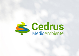 Diseñador de logotipos personalizados en Granada Almería Sevilla Málaga Huelva y Cádiz