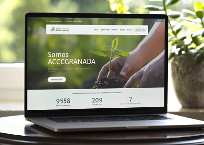  Dise�o de p�ginas web en Granada