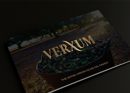 Logotipo de Verxum